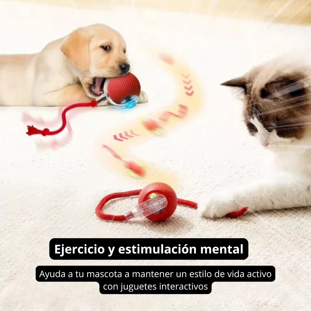 CatSphere™ - Juguete bola integente para gato